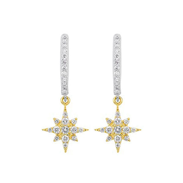 14Kt White Yellow Gold Diamond 1/4Ctw Earring