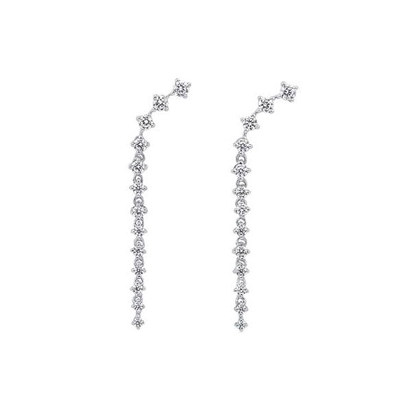 10Kt White Gold Diamond 1/2Ctw Earring