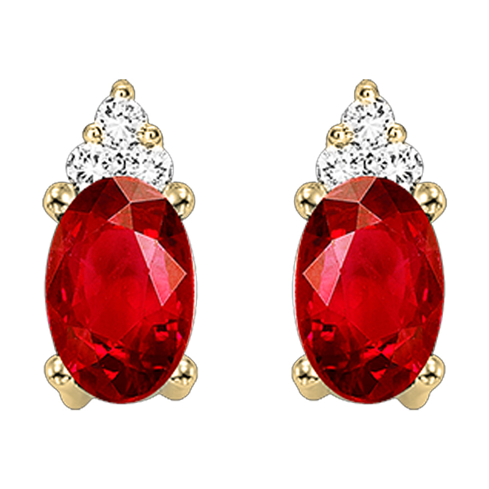 10Kt Yellow Gold Diamond 1/20Ctw & Garnet 5/8Ctw Earring